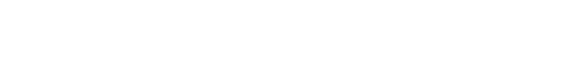 The Wellem Logo – CDMN